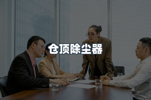 仓顶除尘器