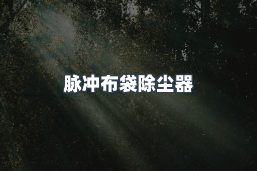 脉冲布袋除尘器